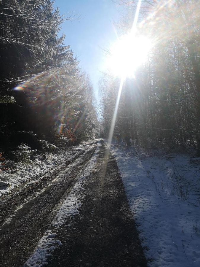 Ferienhaus Fynnhuette Tann  Bagian luar foto