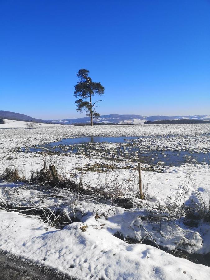 Ferienhaus Fynnhuette Tann  Bagian luar foto